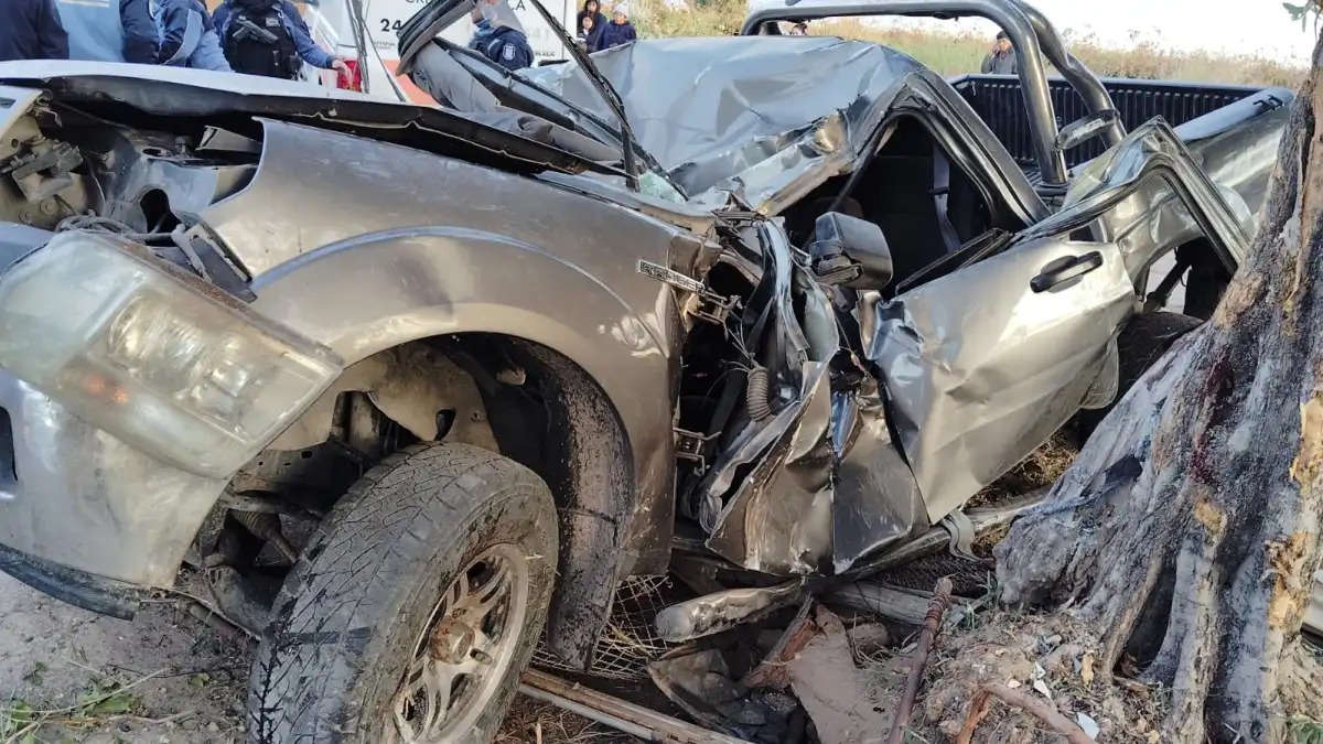 Un hombre murió tras volcar su camioneta contra un árbol en San Martín